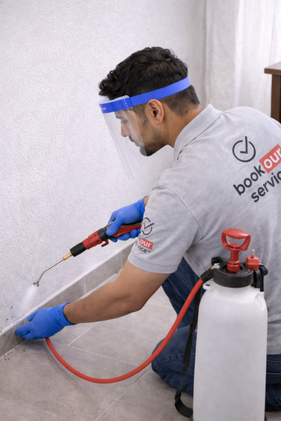 Effective Cockroach Control & Treatment Service