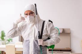 Expert Pest Control – Protect Your Space from Pests