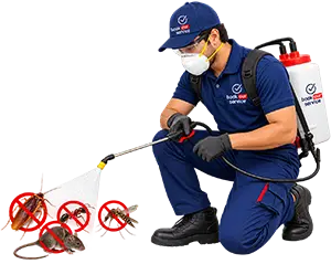Rodent Control